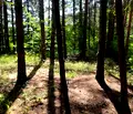 Снимка 5 — Парцел в Пловдив, с. Гълъбово