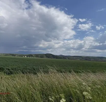 Photo 3 — Plot in област София, Hrabyrsko