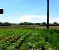 Снимка 4 — Парцел в Стара Загора, с. Калояновец