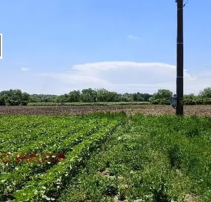 Снимка 4 — Парцел в Стара Загора, с. Калояновец