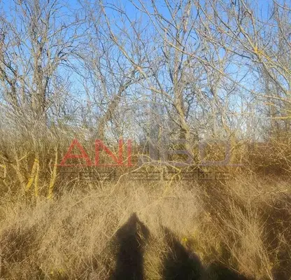 Photo 2 — Plot in Oblast Varna, Kichevo