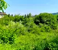 Снимка 4 — Парцел в с. Кокаляне