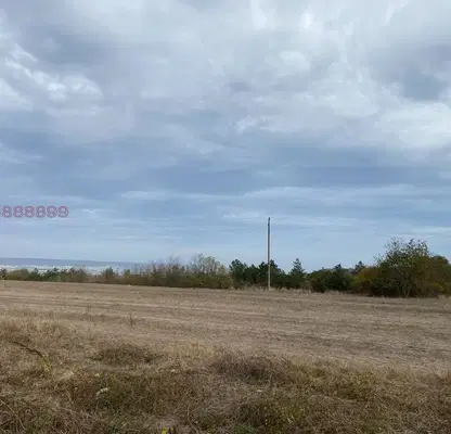 Photo 2 — Plot in Konstantinovo