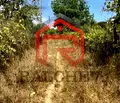Снимка 2 — Парцел в с. Константиново