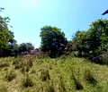 Снимка 4 — Парцел в Перник, с. Кошарево