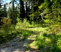 Снимка 5 — Парцел в София, с. Костенец