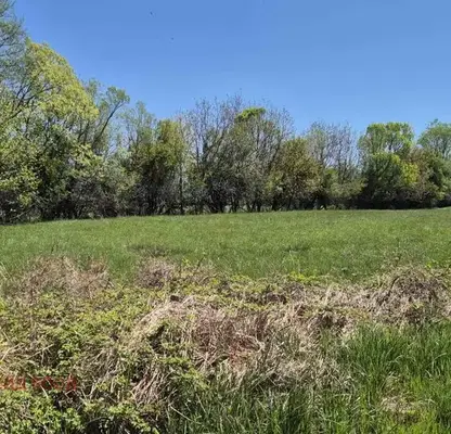 Photo 4 — Plot in Oblast Kyustendil, Krainici