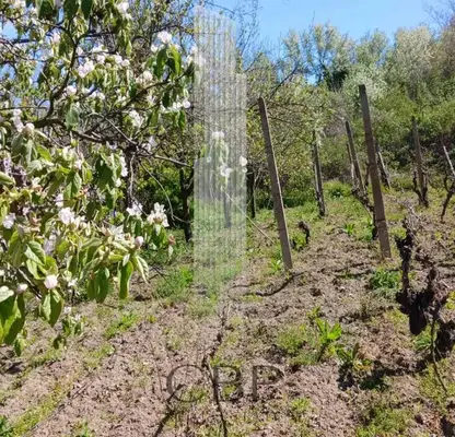 Photo 2 — Plot in Oblast Dobrich, Kranevo