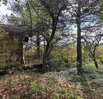 Photo 3 — Plot in област София, Krushovica