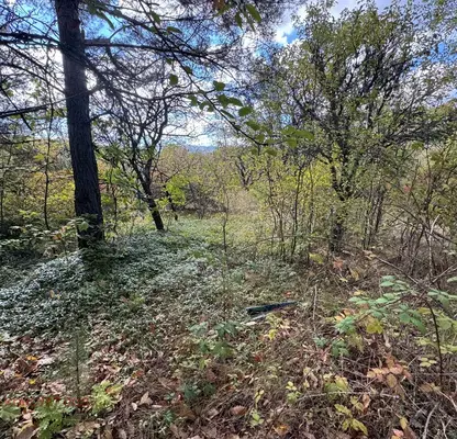 Photo 4 — Plot in област София, Krushovica