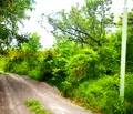 Снимка 3 — Парцел в с. Лозен