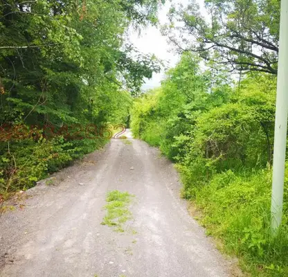 Photo 4 — Plot in Lozen