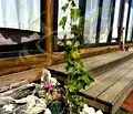 Снимка 5 — Парцел в Бургас, с. Лозенец