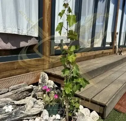 Photo 5 — Plot in Oblast Burgas, Lozenec