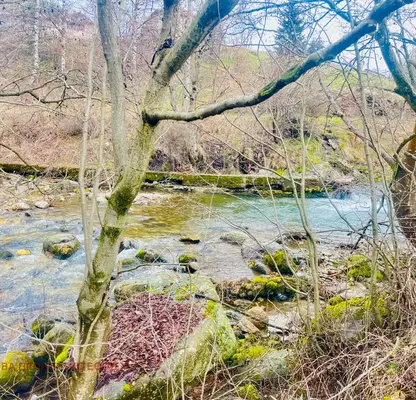 Photo 4 — Plot in област София, Mala Cyrkva
