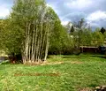 Снимка 5 — Парцел в София, с. Мала църква