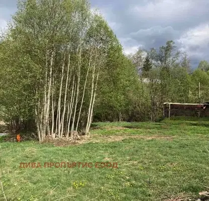 Photo 5 — Plot in област София, Mala Cyrkva
