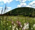 Снимка 3 — Парцел в Стара Загора, с. Малка Верея