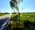 Снимка 3 — Парцел в Пловдив, с. Маноле