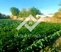 Снимка 2 — Парцел в Пловдив, с. Маноле