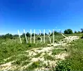 Снимка 3 — Парцел в Пловдив, с. Марково