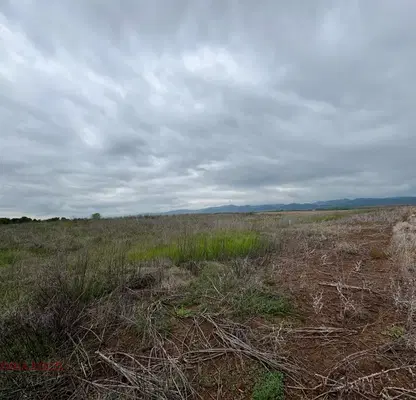 Photo 3 — Plot in Mirovyane