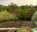 Снимка 3 — Парцел в Хасково, с. Мрамор