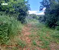 Снимка 4 — Парцел в Стара Загора, с. Ново село