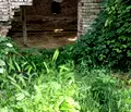 Снимка 5 — Парцел във Велико Търново, с. Ореш