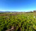 Снимка 4 — Парцел в Пловдив, с. Оризари