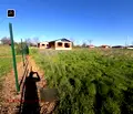 Снимка 3 — Парцел в Пловдив, с. Оризари