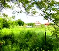 Снимка 3 — Парцел в Стара Загора, с. Памукчии