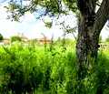 Снимка 4 — Парцел в Стара Загора, с. Памукчии