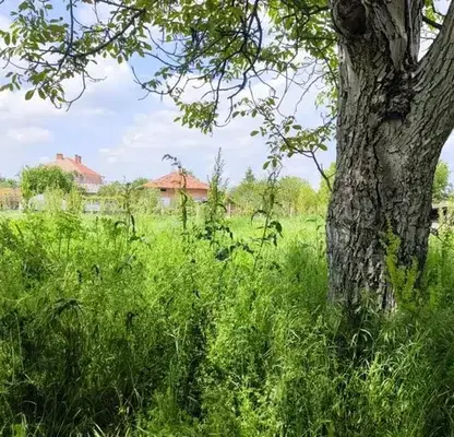 Photo 4 — Plot in Oblast Stara Zagora, Pamukchii