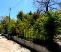 Снимка 4 — Парцел в с. Панчарево