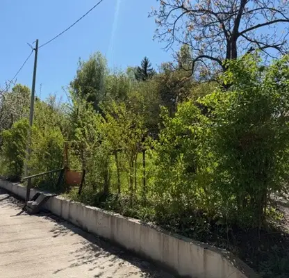 Photo 4 — Plot in Pancharevo