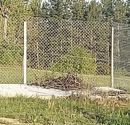 Photo 5 — Plot in Podgumer