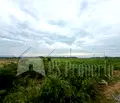 Снимка 4 — Парцел в Стара Загора, с. Преславен