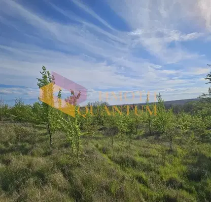 Photo 2 — Plot in Oblast Varna, Priselci