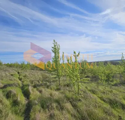 Photo 3 — Plot in Oblast Varna, Priselci