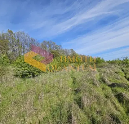 Photo 4 — Plot in Oblast Varna, Priselci