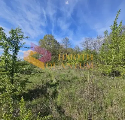 Photo 5 — Plot in Oblast Varna, Priselci