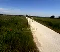Снимка 3 — Парцел в Пловдив, с. Първенец
