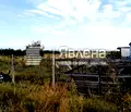 Снимка 2 — Парцел в Пловдив, с. Първенец