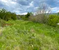 Снимка 3 — Парцел в Стара Загора, с. Пъстрово