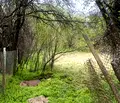 Снимка 4 — Парцел в Перник, с. Режанци