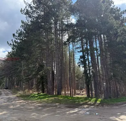 Снимка 3 — Парцел в Перник, с. Рударци