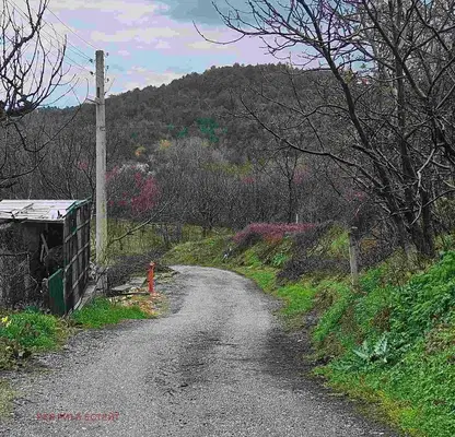 Photo 4 — Plot in Oblast Plovdiv, Ruen