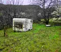 Снимка 5 — Парцел в Пловдив, с. Руен
