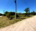 Снимка 3 — Парцел в Перник, с. Садовик